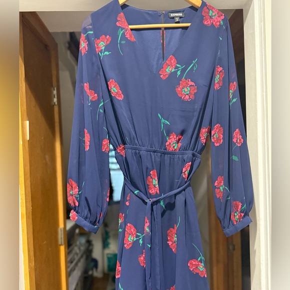 Express Dresses & Skirts - Gorgeous EUC V-neck express dress long sleeve